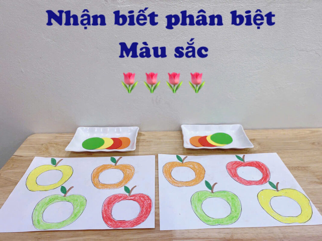Hoạt động nhận biết màu sắc của lớp Kid 1 TT Tâm Đức